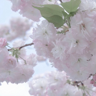 Furry绘画色彩搭配福瑞交流群